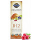 Garden of Life, MyKind Organics, органический спрей с витамином B12, 58 мл